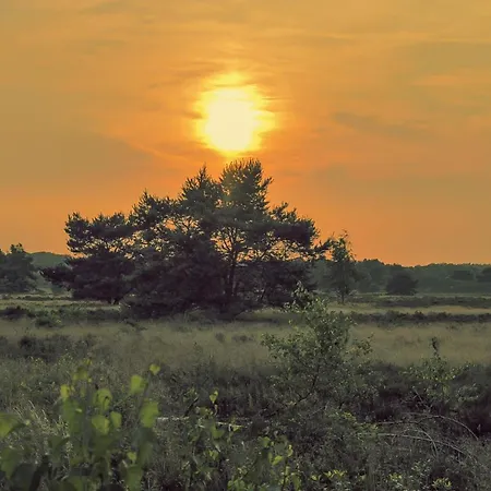 Luxe De Linde Veluwe Nunspeet