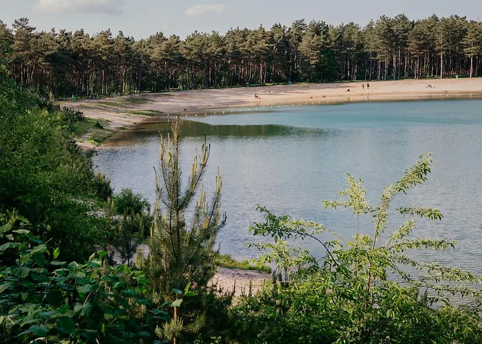 Dom wakacyjny Luxe De Linde Veluwe