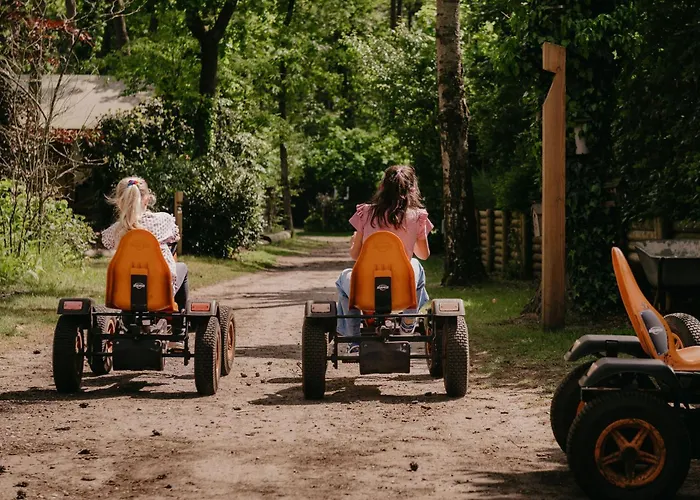Dom wakacyjny Luxe De Linde Veluwe Nunspeet
