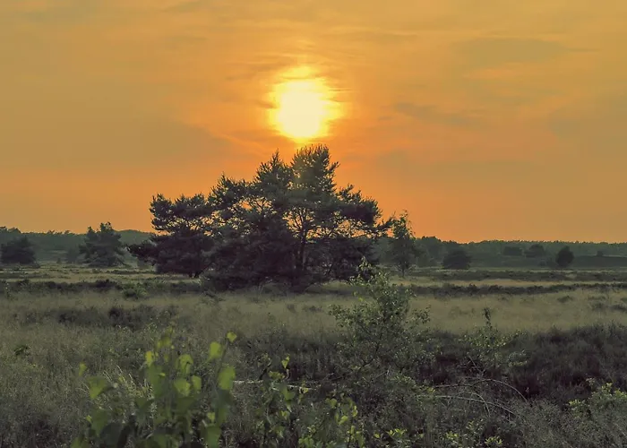 Luxe De Linde Veluwe Nunspeet